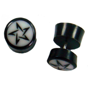 Ohrringe aus Horn Stern