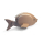Spardose Fisch aus Holz